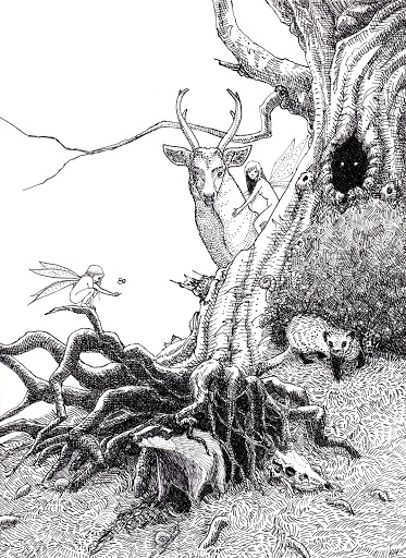 Open Imagination