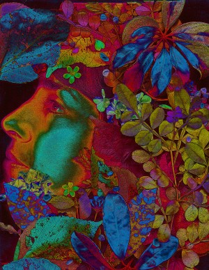 Open Imagination