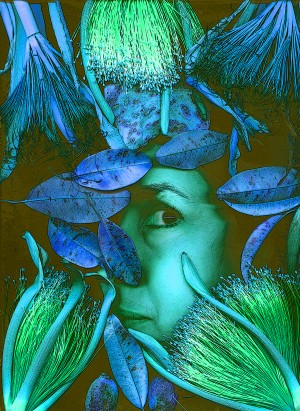 Open Imagination