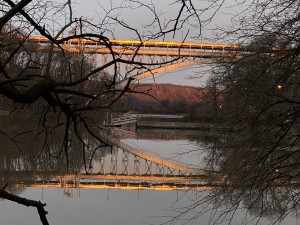 art and photo contests