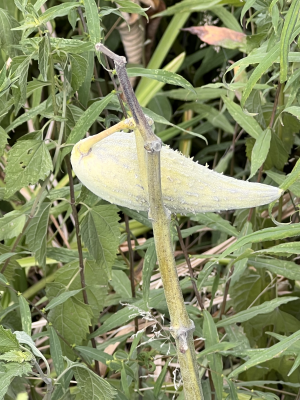 art and photo contests