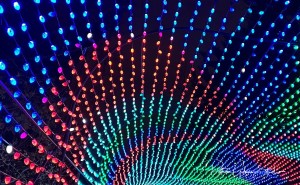 art and photo contests