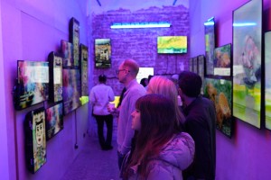 art and photo contests