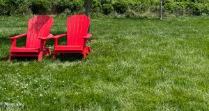 art and photo contests