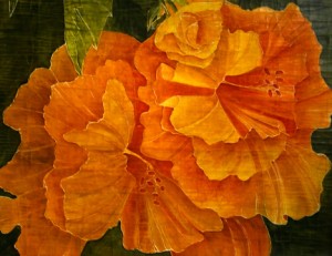 art and photo contests