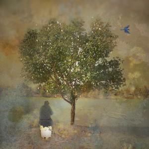Open Imagination