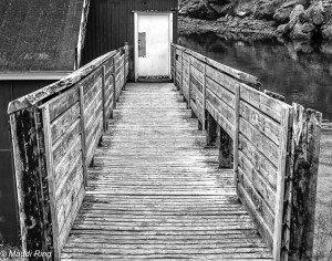 art and photo contests