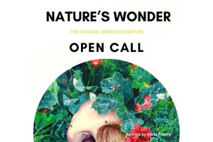 Open Imagination